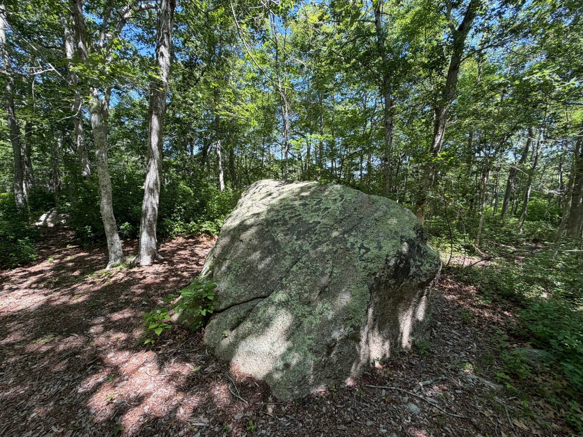 Residential at 0 North 15 Belhaven Way, Chilmark MA 02535, photo 7 of 10