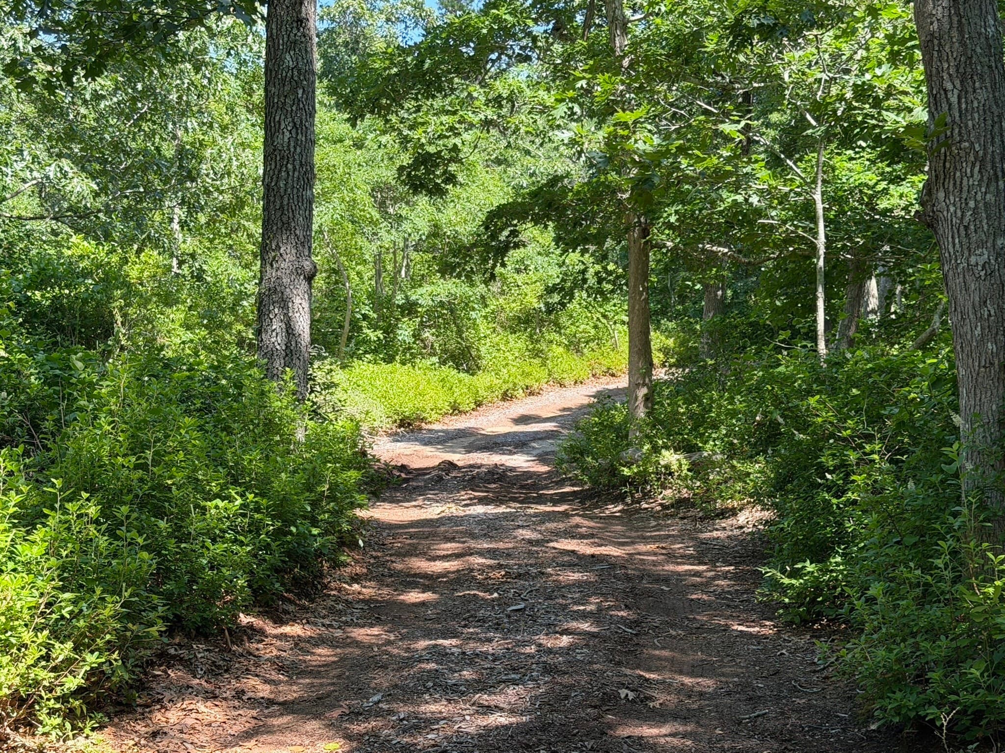 Residential at 0 North 15 Belhaven Way, Chilmark MA 02535, photo 9 of 10