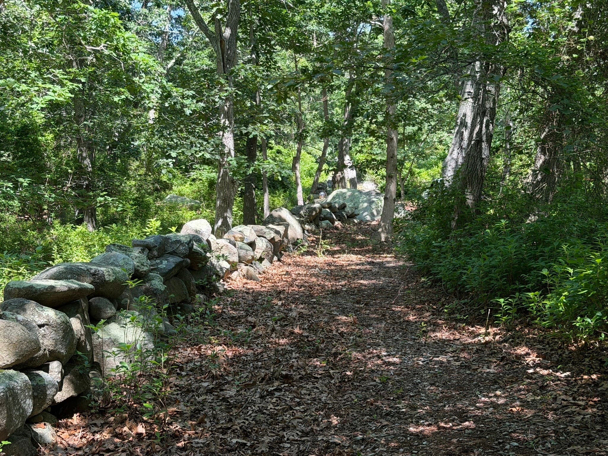 Residential at 0 North 15 Belhaven Way, Chilmark MA 02535, photo 8 of 10