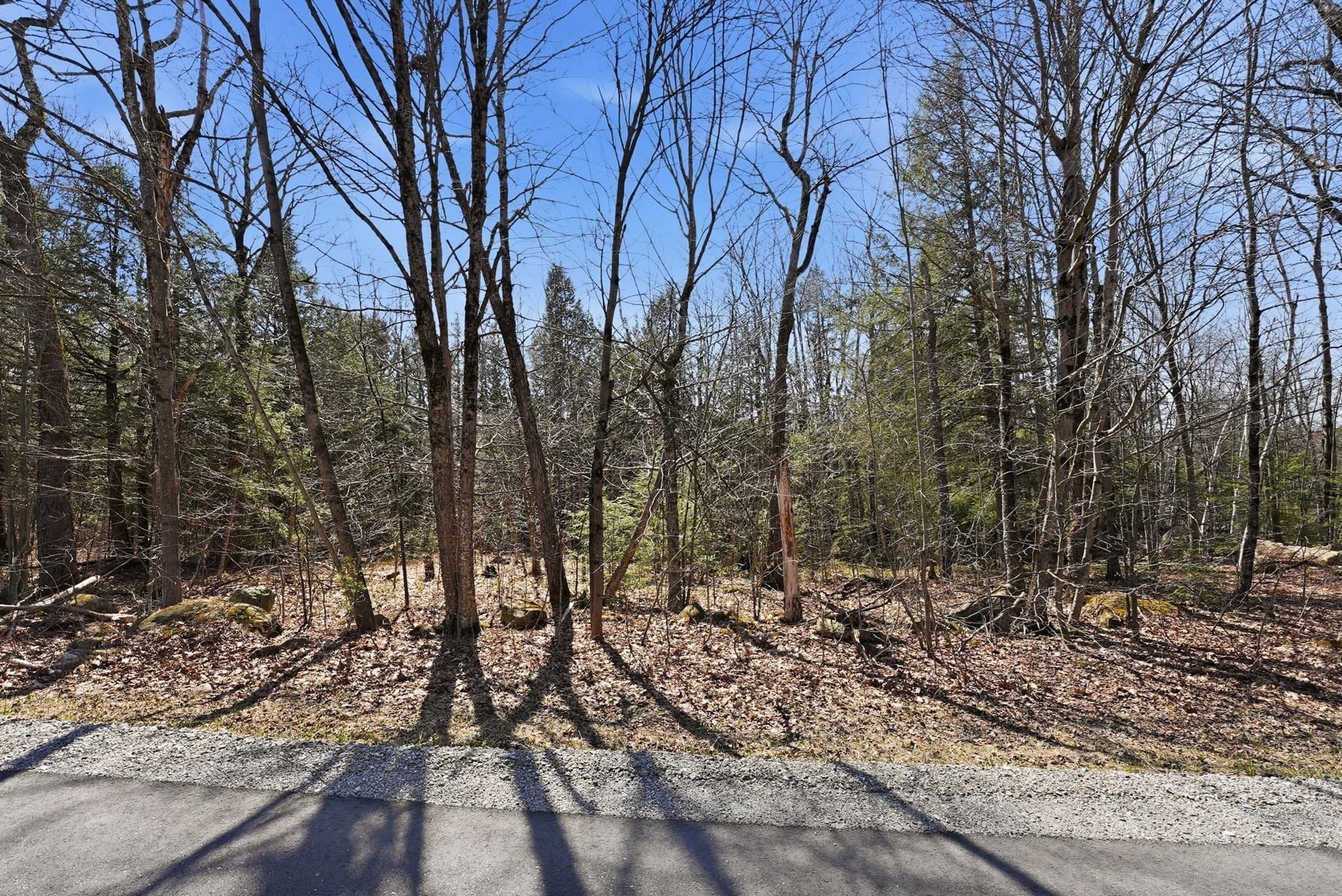 Residential at 0 Algerie Rd, Otis MA 01253, photo 4 of 15