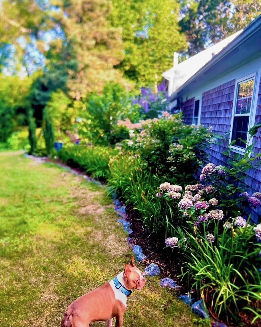 Single Family Residence at 25 Frances Helen Rd, Yarmouth MA 02675, photo 39 of 42