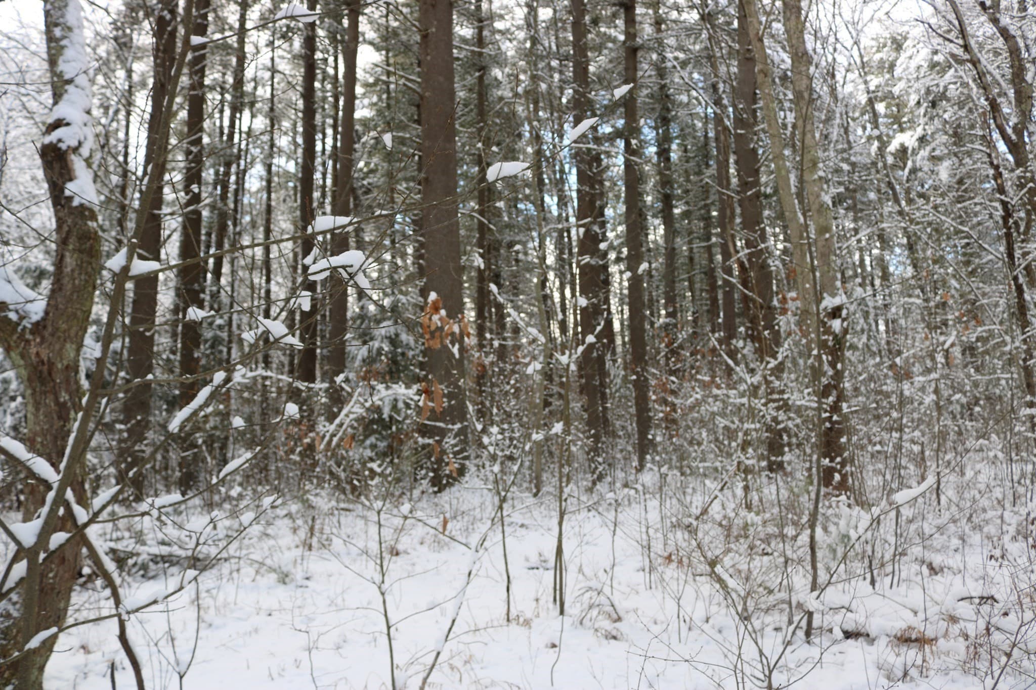 Residential at 0 Blood Road, Charlton MA 01507, Charlton, photo 5 of 5