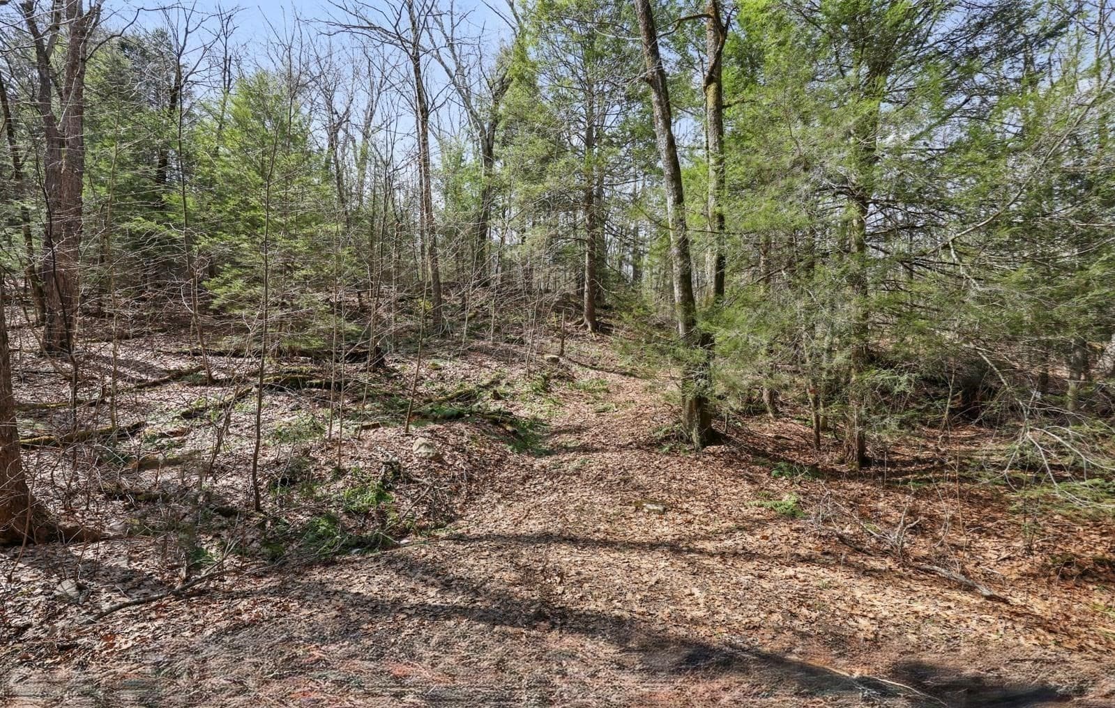 Residential at 8 Hemlock Rd, Tyringham MA 01264, photo 2 of 17
