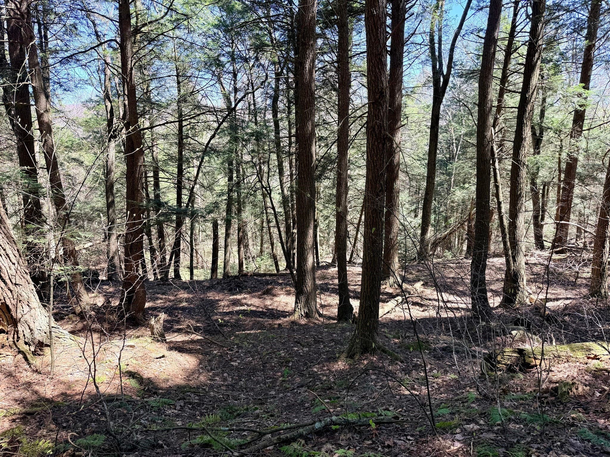 Residential at 8 Hemlock Rd, Tyringham MA 01264, photo 6 of 17