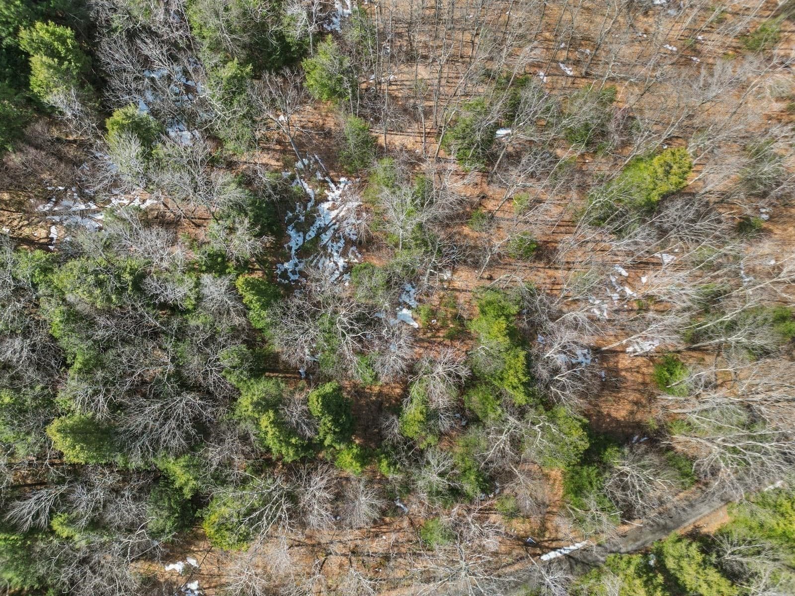 Residential at 8 Hemlock Rd, Tyringham MA 01264, photo 16 of 17