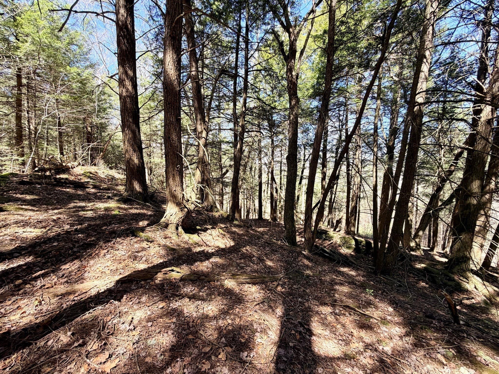 Residential at 8 Hemlock Rd, Tyringham MA 01264, photo 7 of 17