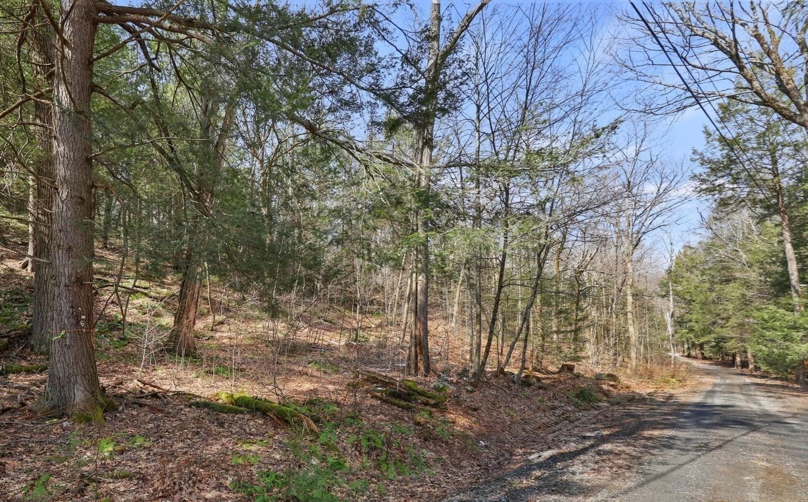 Residential at 8 Hemlock Rd, Tyringham MA 01264, photo 3 of 17