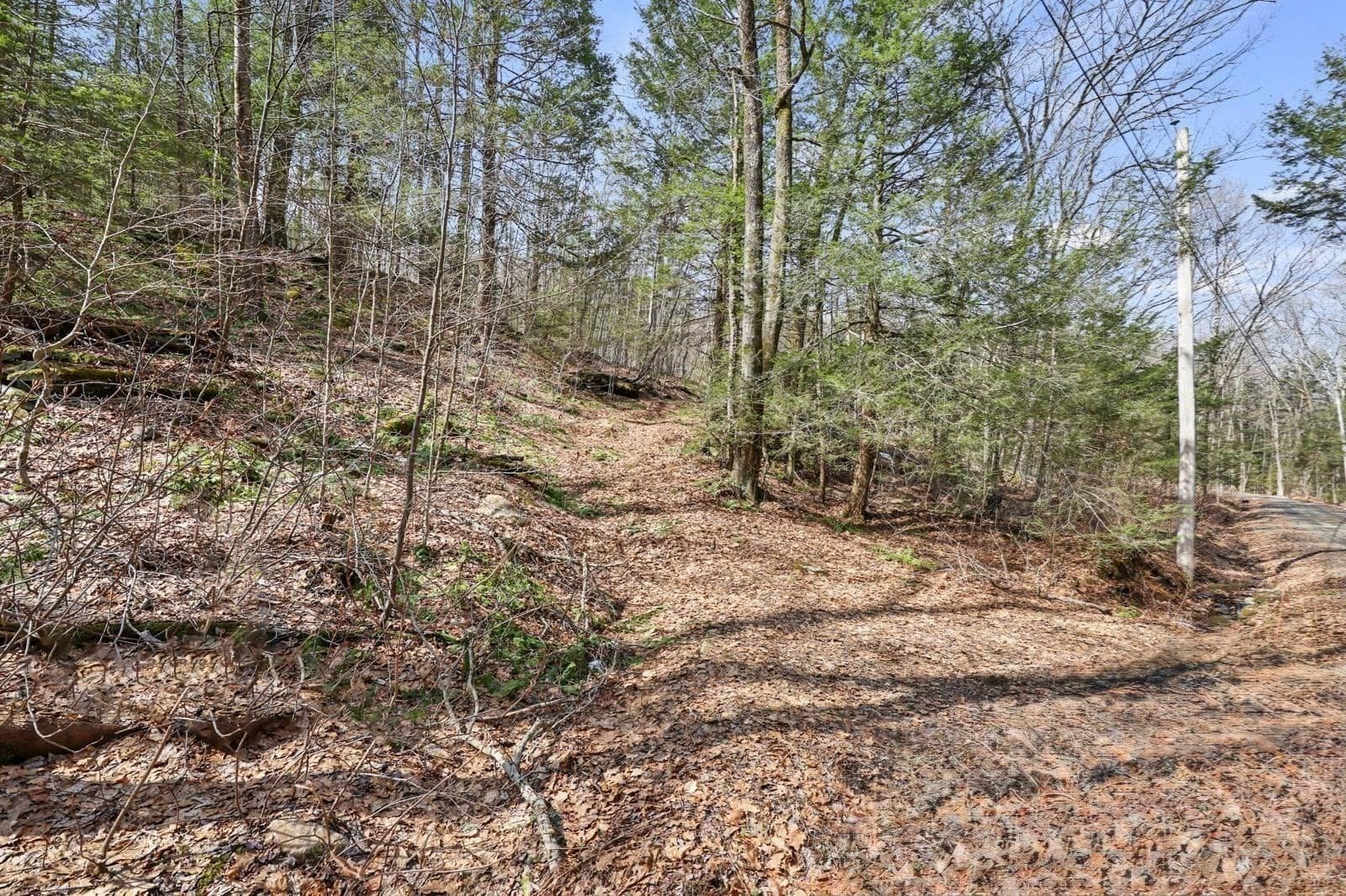 8 Hemlock Rd, Tyringham MA 01264