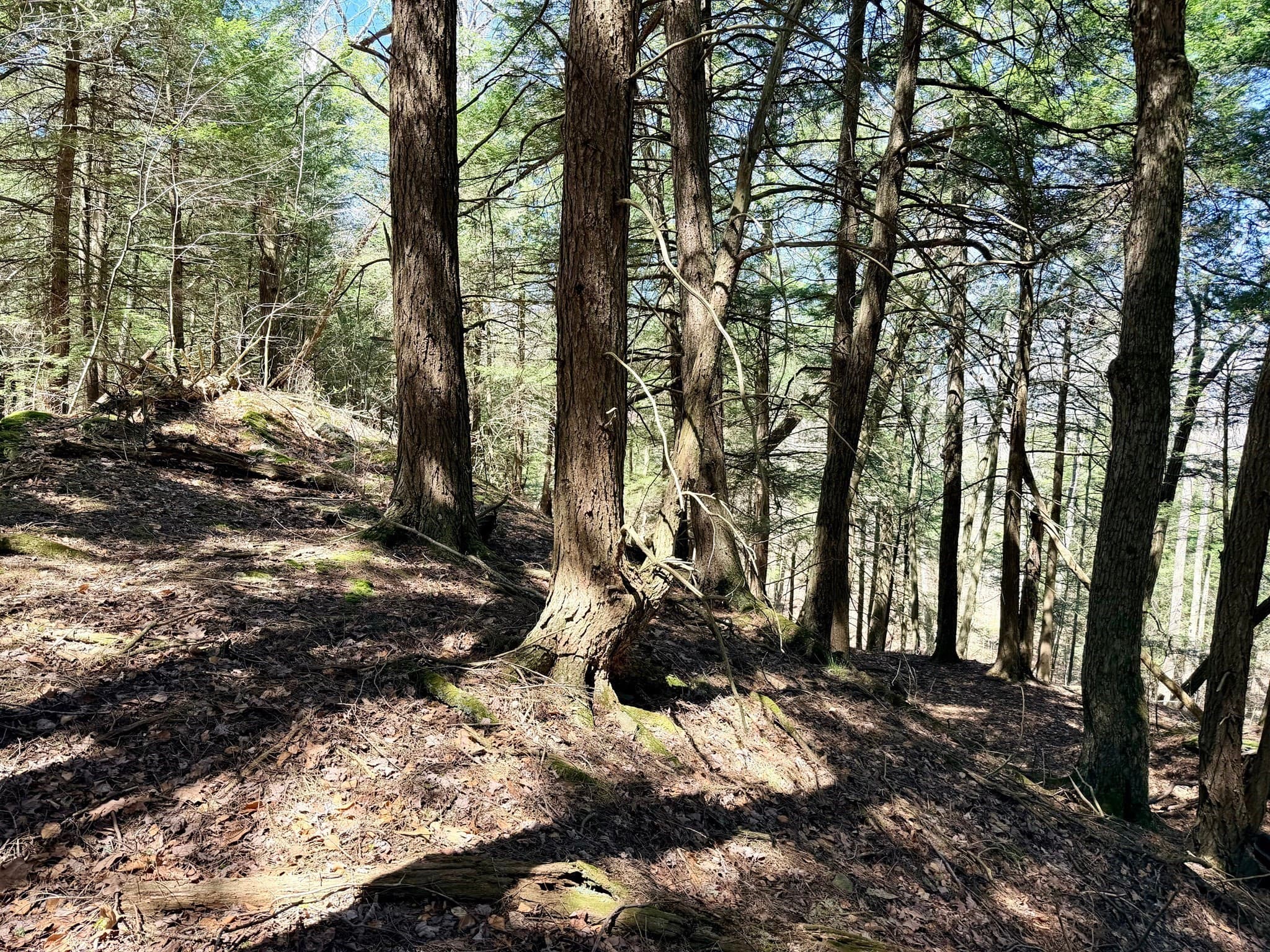 Residential at 8 Hemlock Rd, Tyringham MA 01264, photo 9 of 17