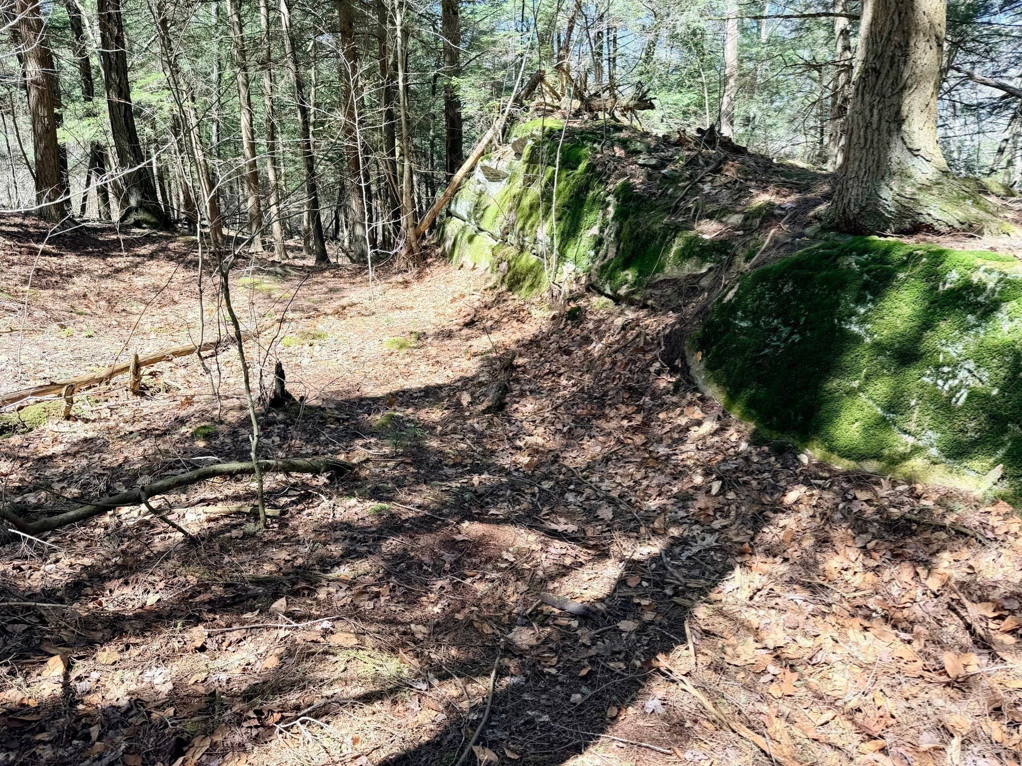 Residential at 8 Hemlock Rd, Tyringham MA 01264, photo 10 of 17