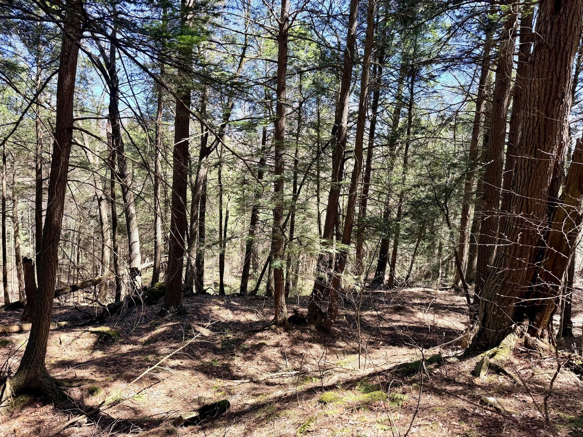 Residential at 8 Hemlock Rd, Tyringham MA 01264, photo 4 of 17