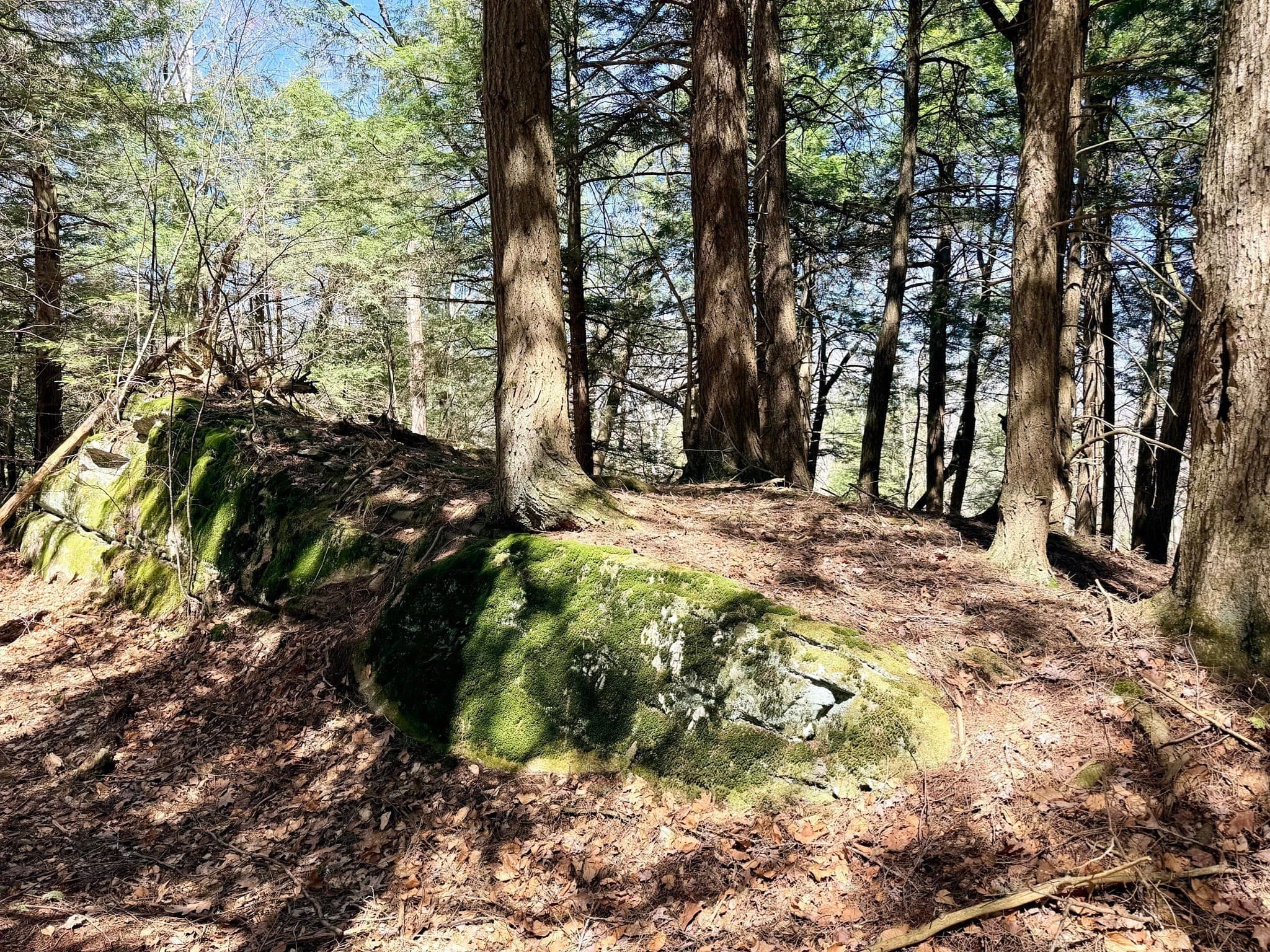 Residential at 8 Hemlock Rd, Tyringham MA 01264, photo 8 of 17