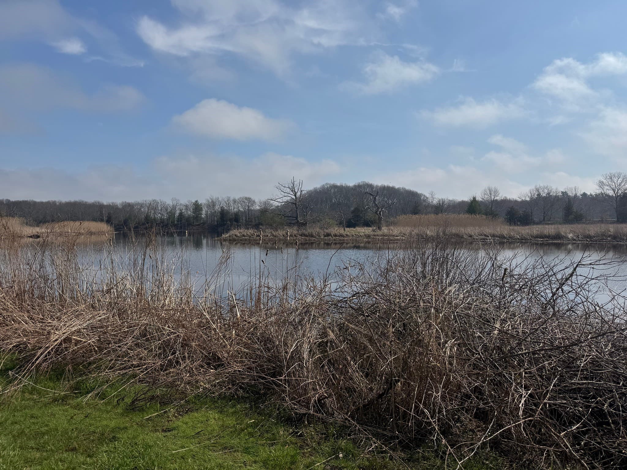 1721-1731 Somerset Ave, Dighton MA 02715