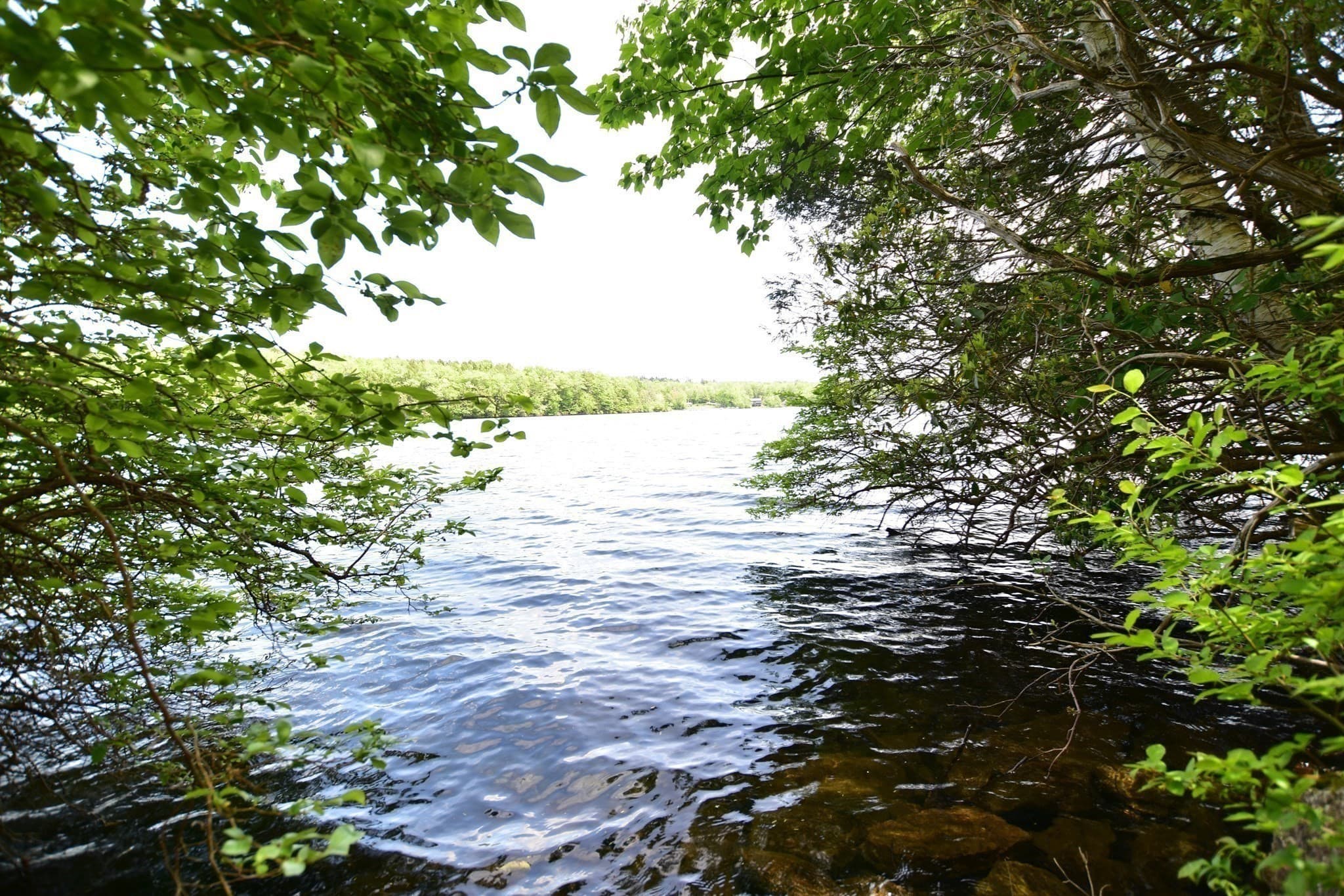 Single Family Residence at 18 Osceola Rd, Becket MA 01223, Becket, photo 5 of 8
