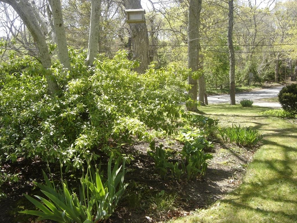 Single Family Residence at 2 Zephyr, Yarmouth MA 02675, photo 20 of 22