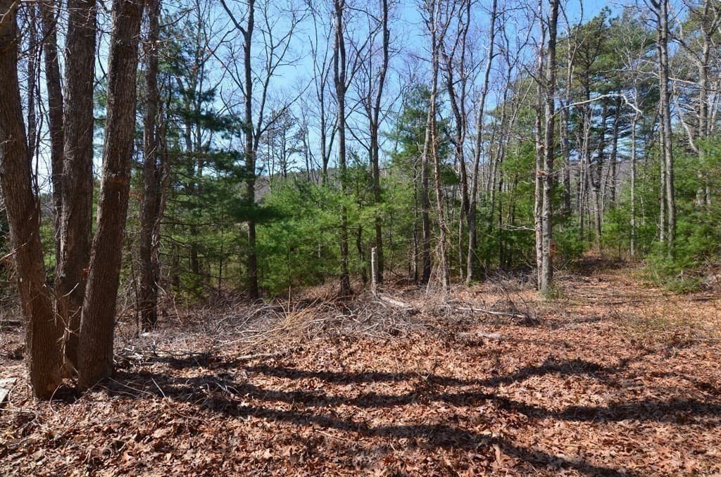 221 Beaver Dam Rd, Plymouth MA 02360 photo 27