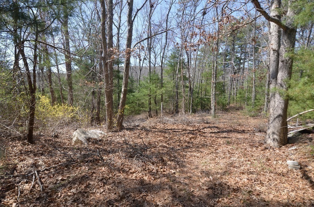 221 Beaver Dam Rd, Plymouth MA 02360 photo 26
