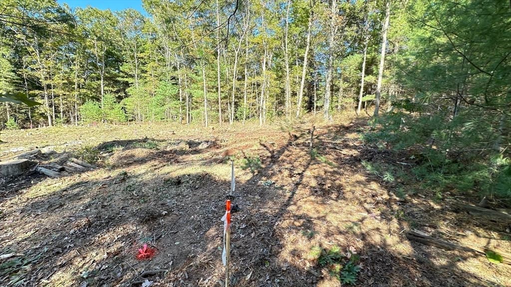 221 Beaver Dam Rd, Plymouth MA 02360 photo 7