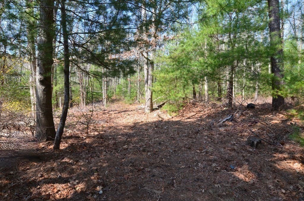 221 Beaver Dam Rd, Plymouth MA 02360 photo 24