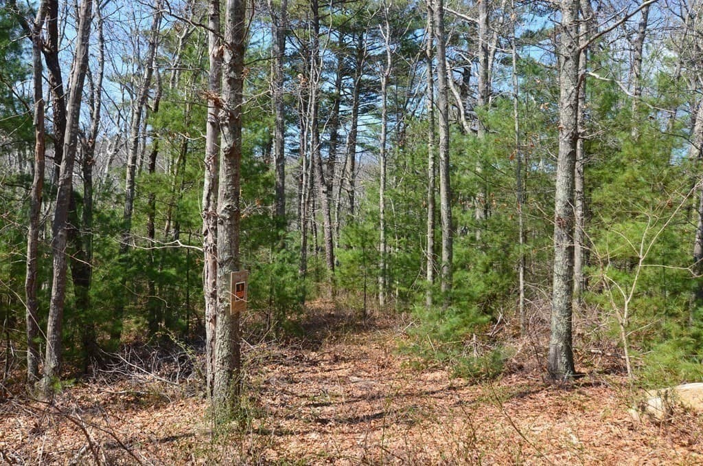 221 Beaver Dam Rd, Plymouth MA 02360 photo 25