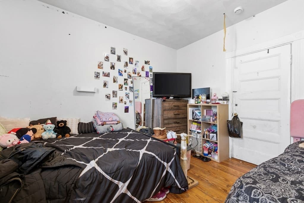 41 Armandine St, Boston MA 02124 photo 18