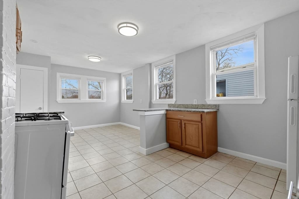 41 Armandine St, Boston MA 02124 photo 8