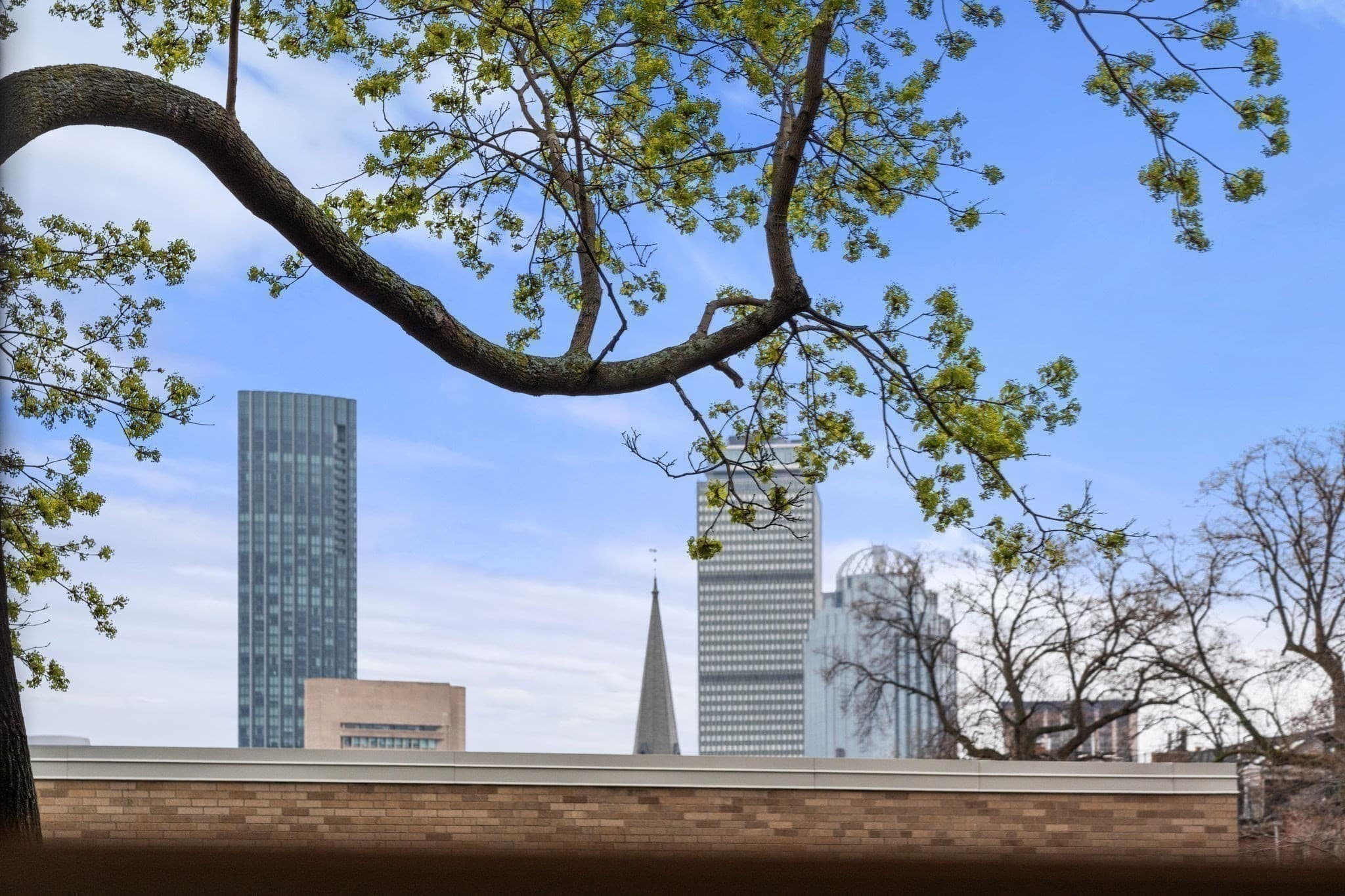 Condominium at 501 Shawmut Ave. # 3, Boston MA 02118, photo 12 of 14