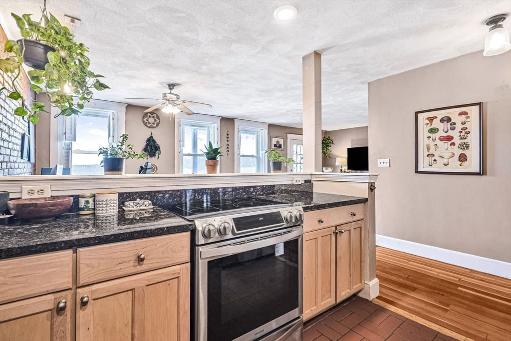 Condominium at 25 South Street # 4, Boston MA 02135, photo 6 of 31