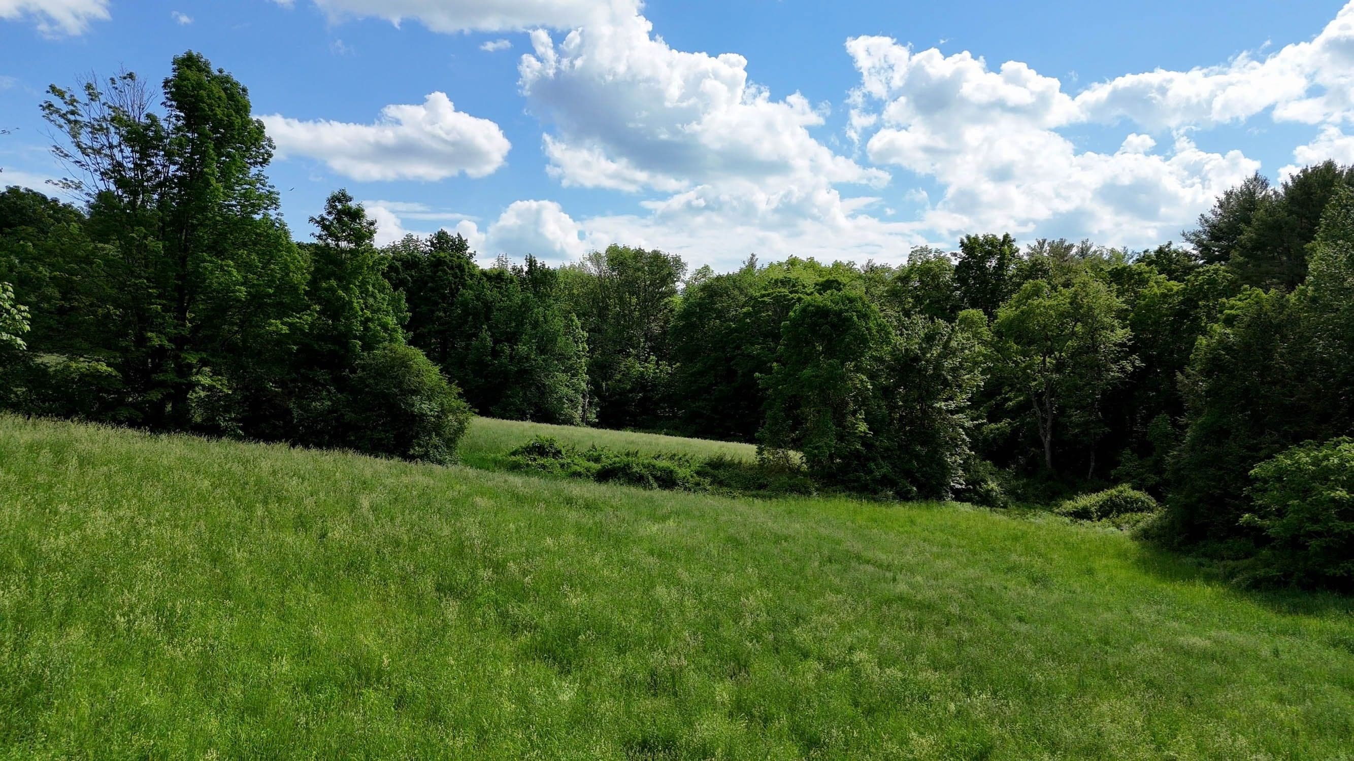 0 Brooks Pond Rd (Entire Parcel), Spencer MA 01562