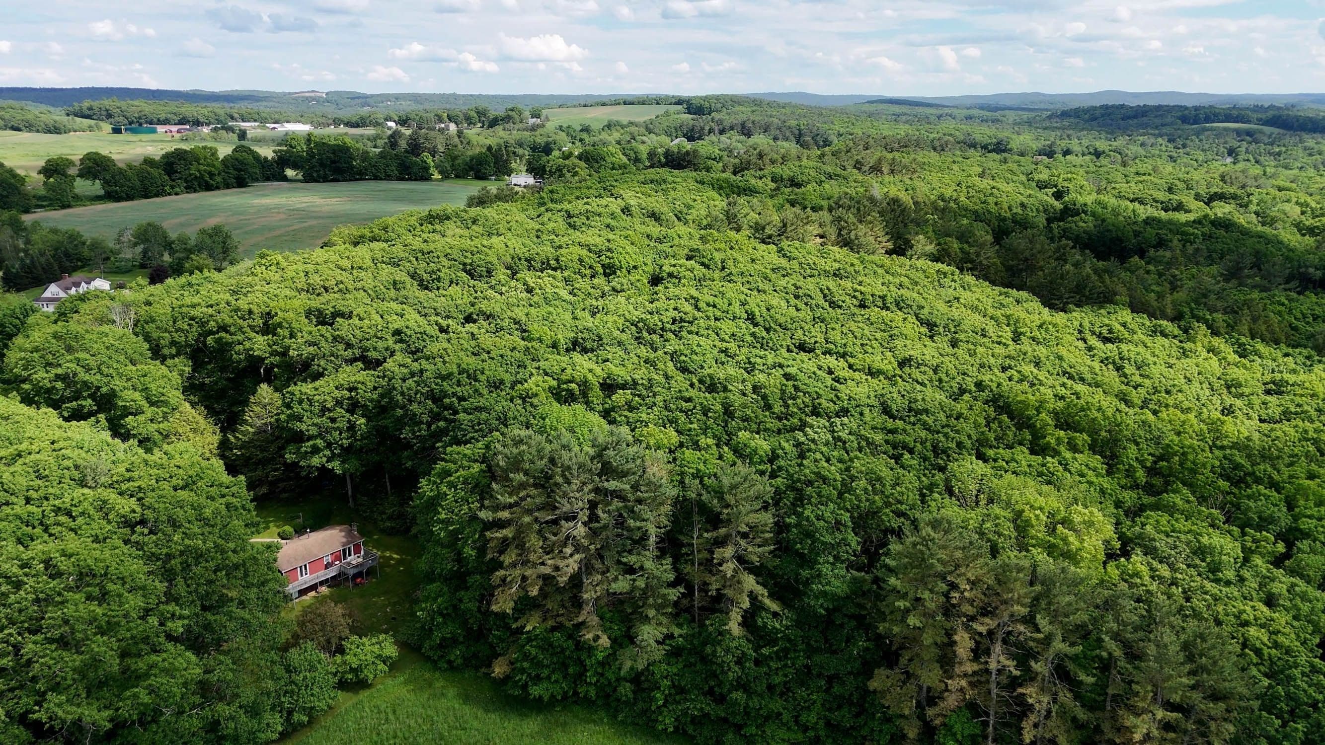 Land at 0 Brooks Pond Rd (Entire Parcel), Spencer MA 01562, photo 15 of 17