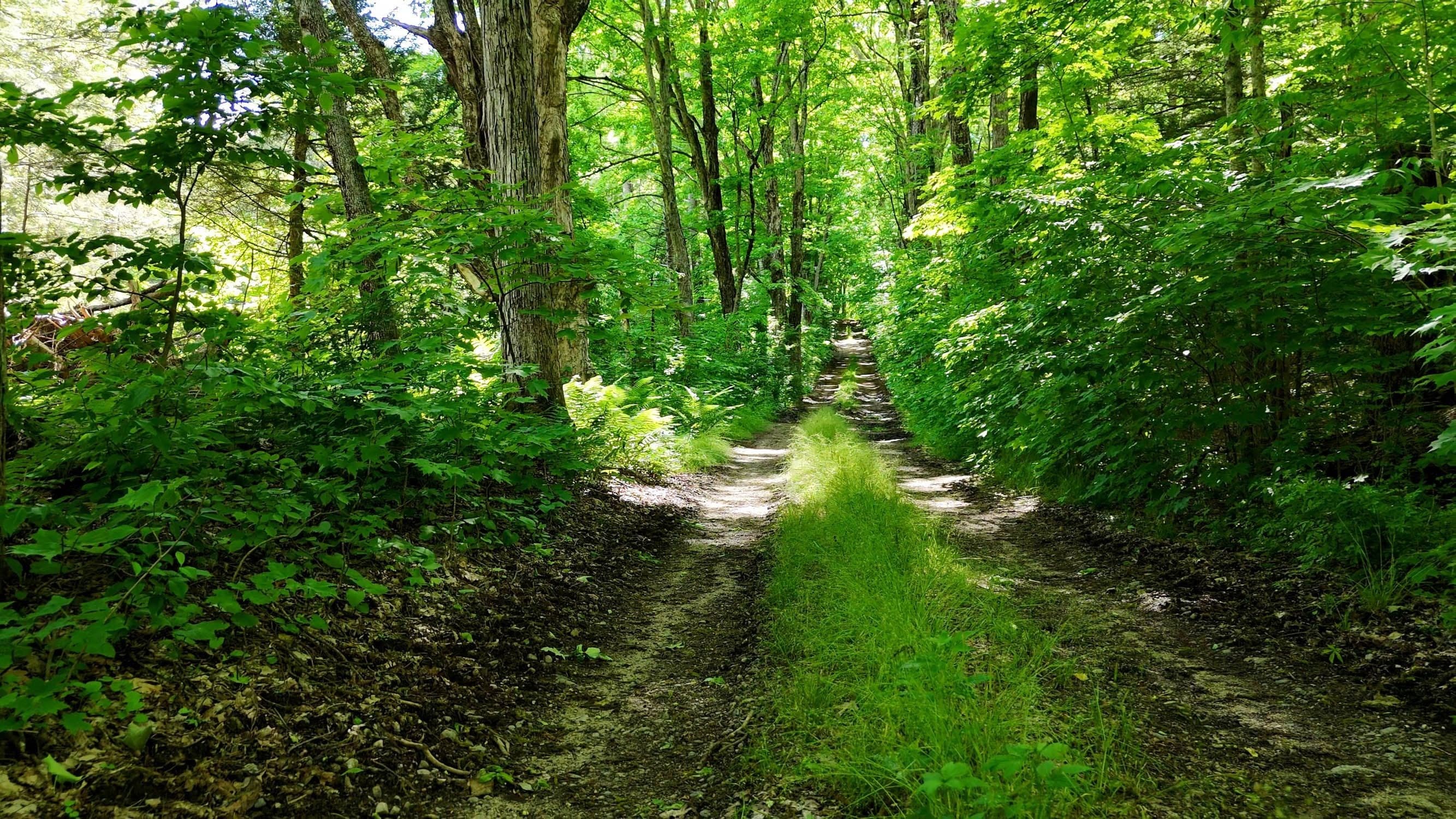 Land at 0 Brooks Pond Rd (Entire Parcel), Spencer MA 01562, photo 11 of 17