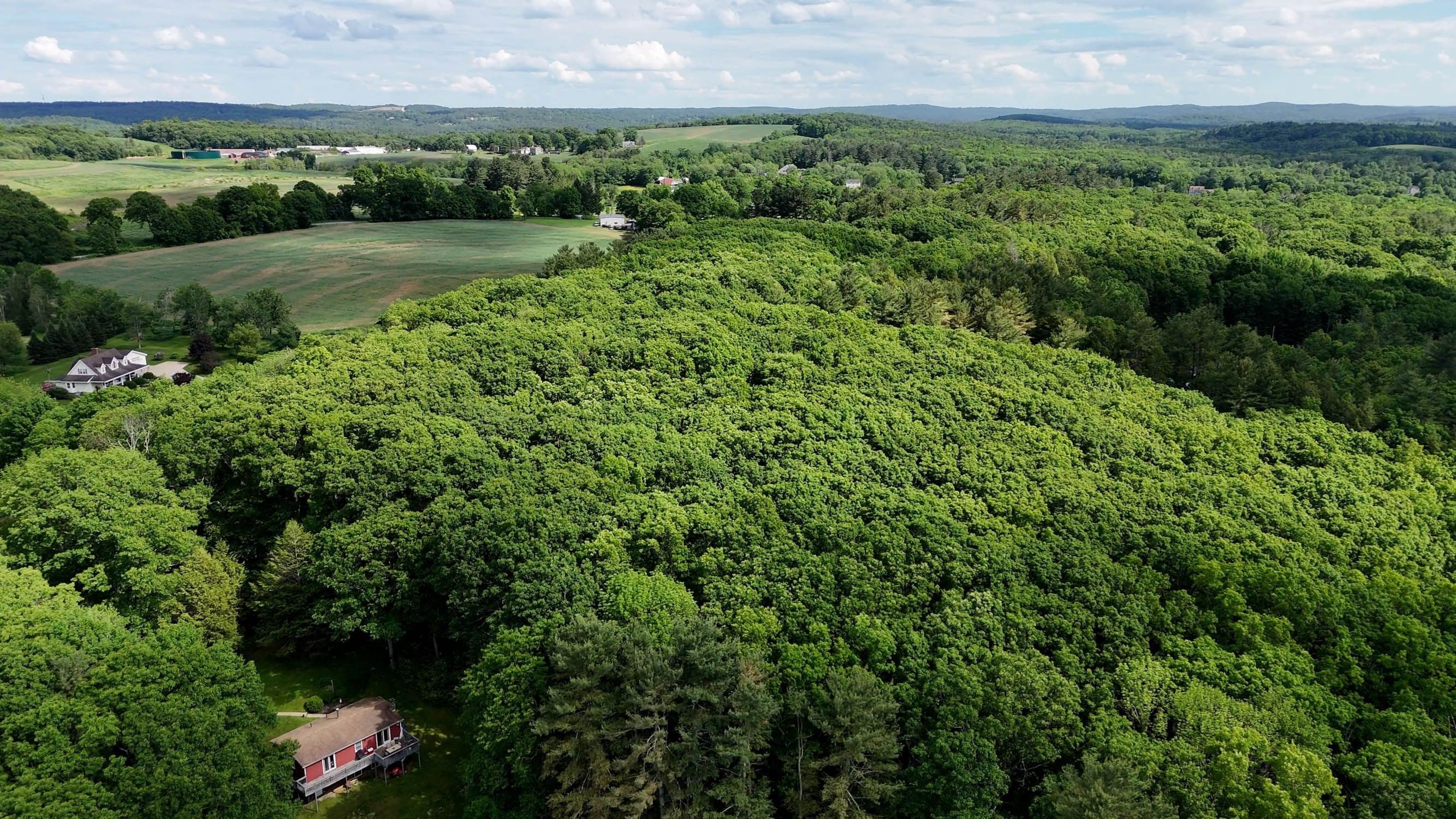 Land at 0 Brooks Pond Rd (Large Parcel), Spencer MA 01562, photo 4 of 16