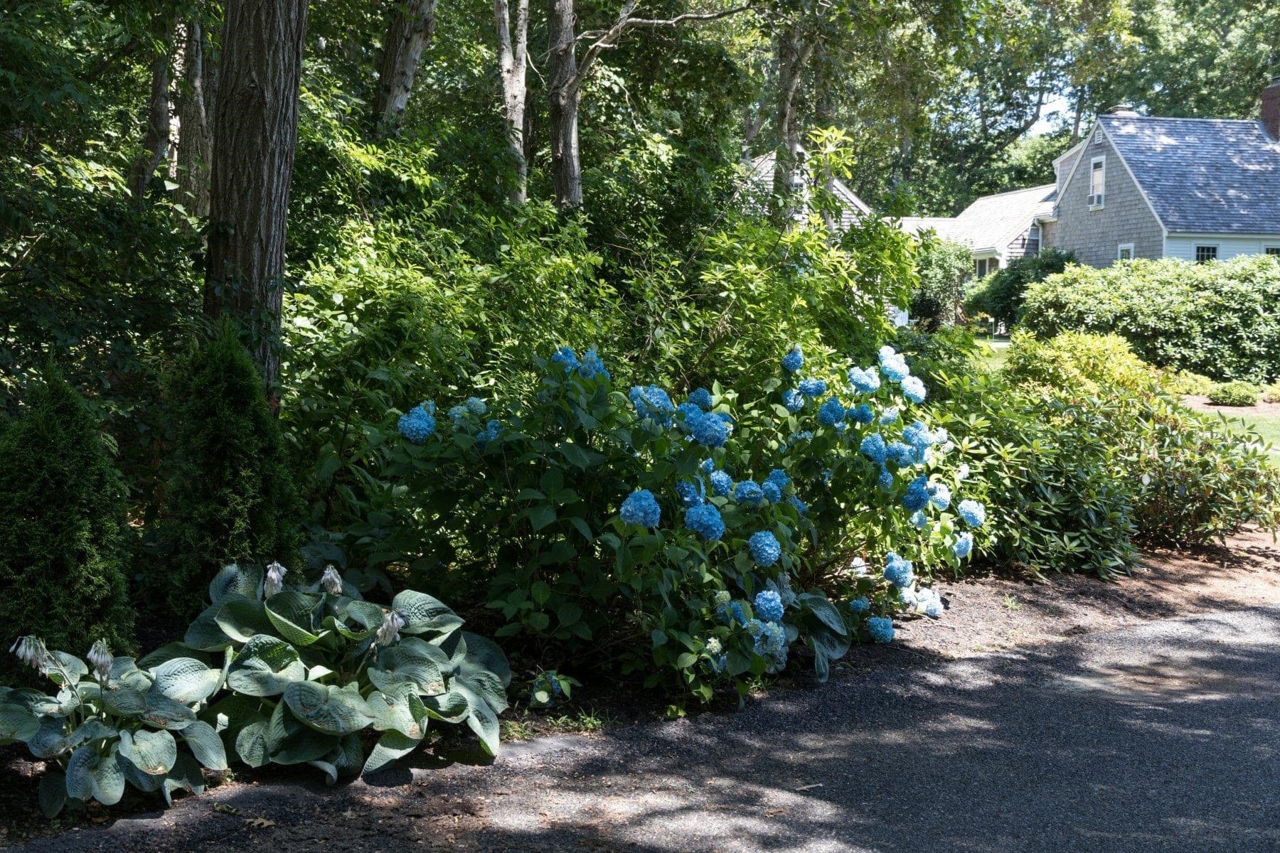 Residential at 17 Sky Meadow Drive, Orleans MA 02653, photo 2 of 20