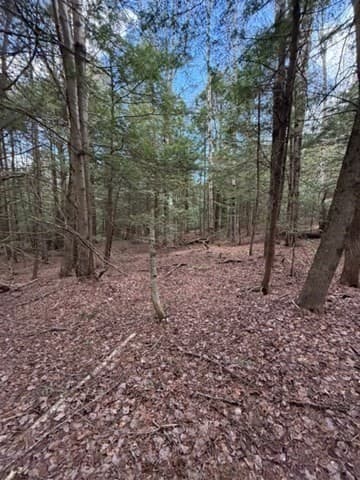 Residential at 0 Number 9 Rd, Heath MA 01340, photo 6 of 14