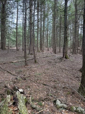 Residential at 0 Number 9 Rd, Heath MA 01340, photo 7 of 14