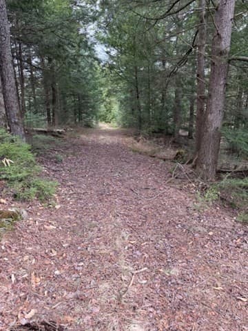 Residential at 0 Number 9 Rd, Heath MA 01340, photo 5 of 14
