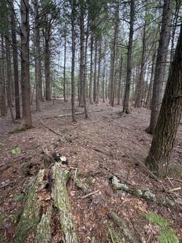 Residential at 0 Number 9 Rd, Heath MA 01340, photo 11 of 14