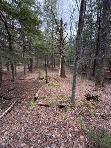 Residential at 0 Number 9 Rd, Heath MA 01340, photo 8 of 14