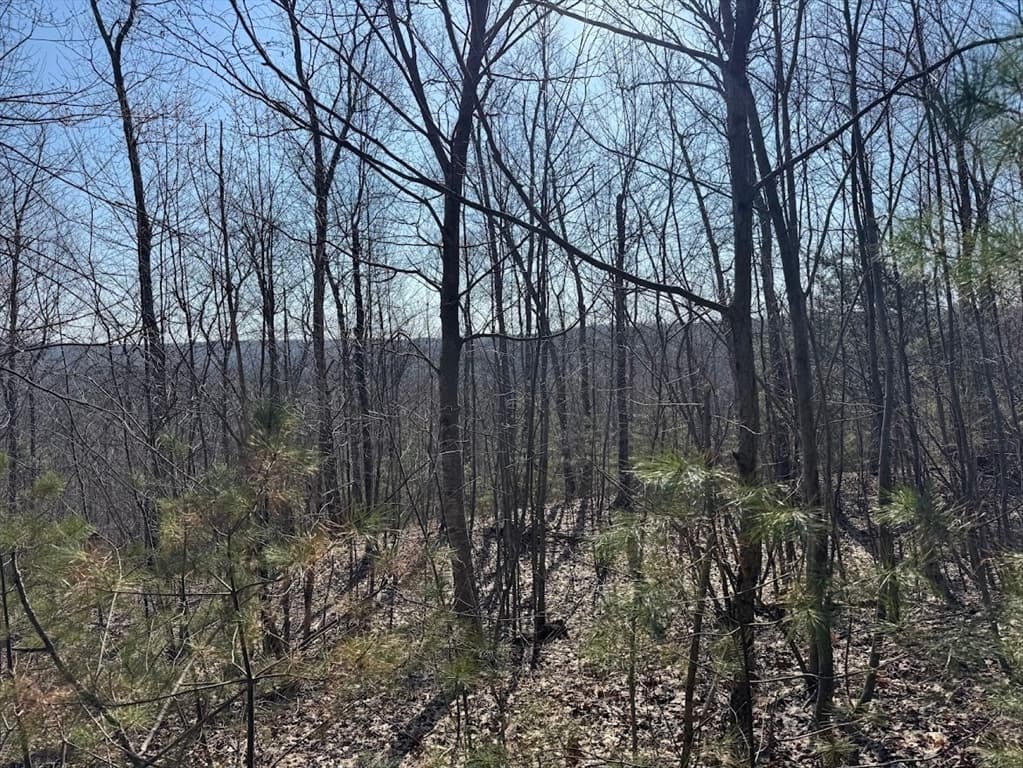 0B Brimfield Rd, Warren MA 01083 photo 2