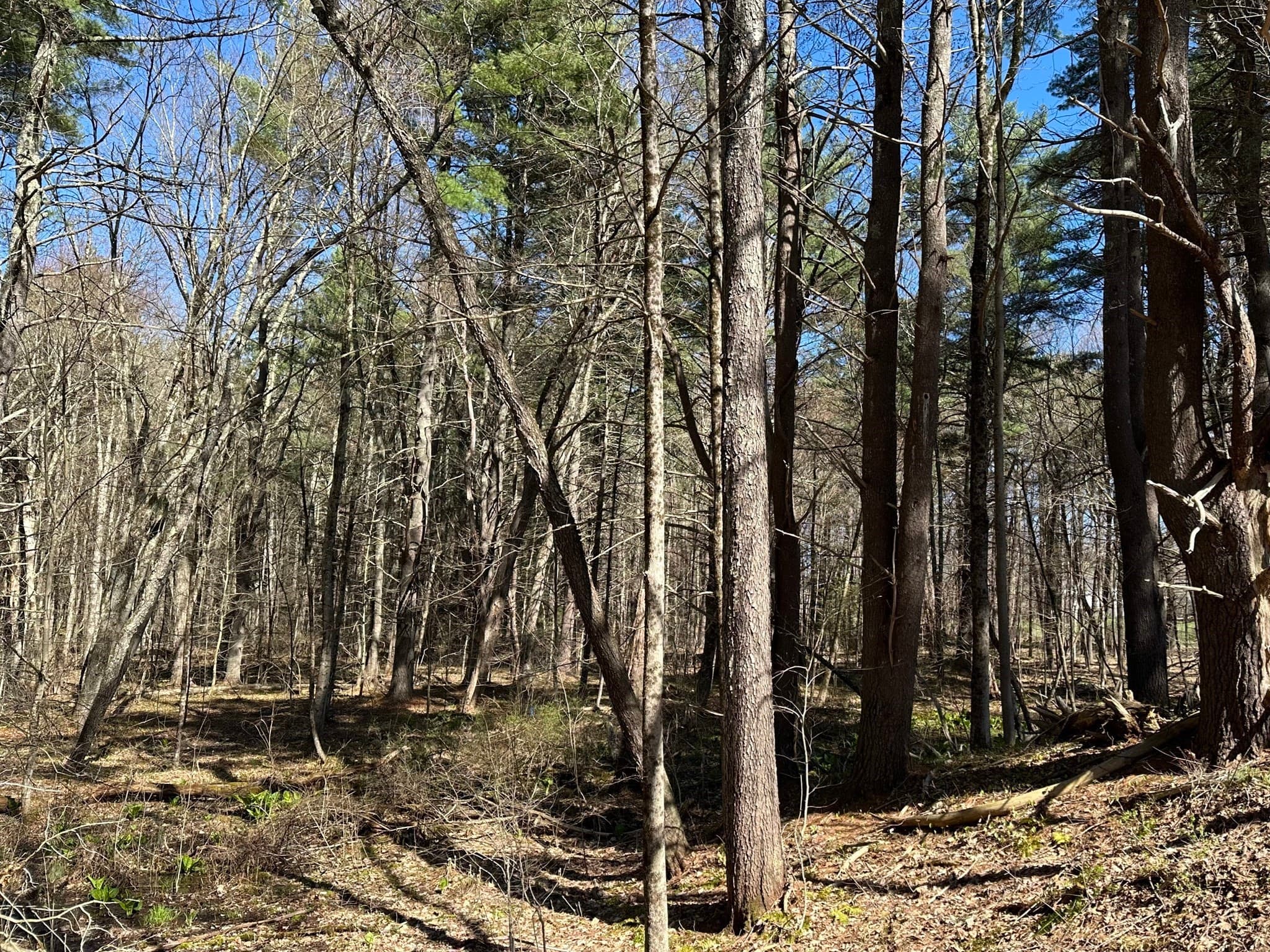 Lot 11-46B Hilliard Road, Kensington NH 03833