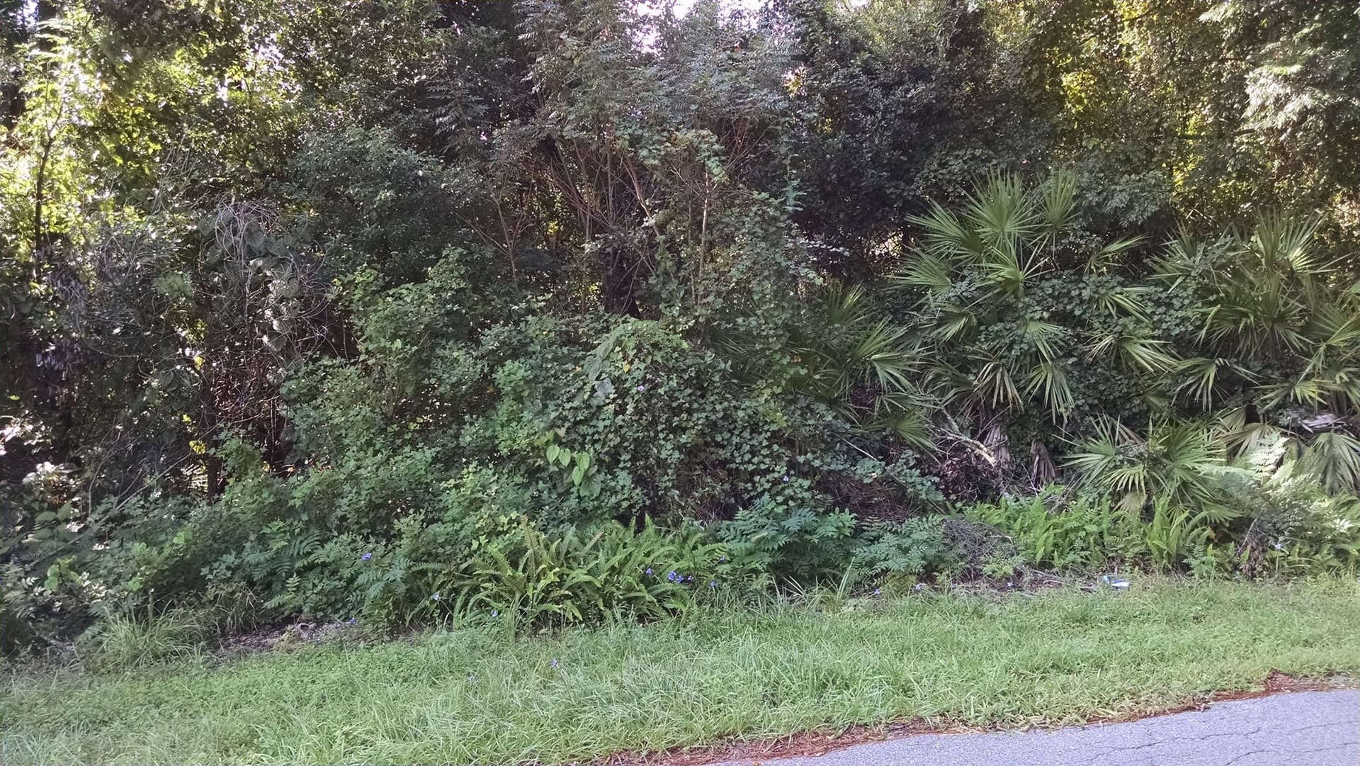 Land at 1361 Howland Boulevard, Deltona FL 32738