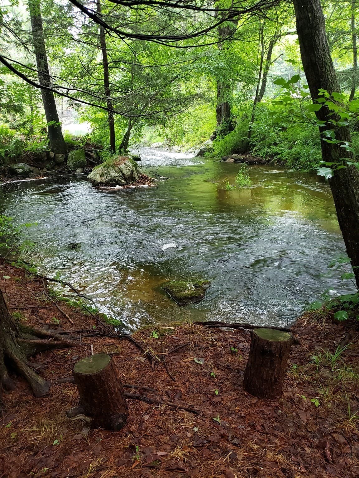 Residential at 12 Point Eastalee Drive, Spencer MA 01562, photo 4 of 20