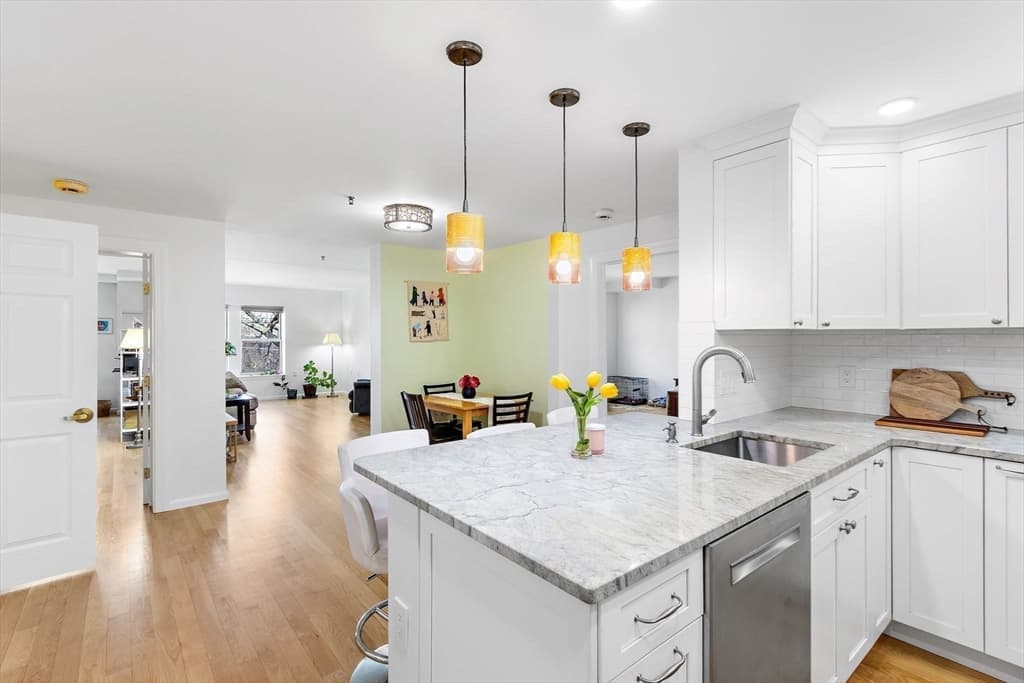 Condominium at 300 Allston St # 416, Boston MA 02135, photo 6 of 25