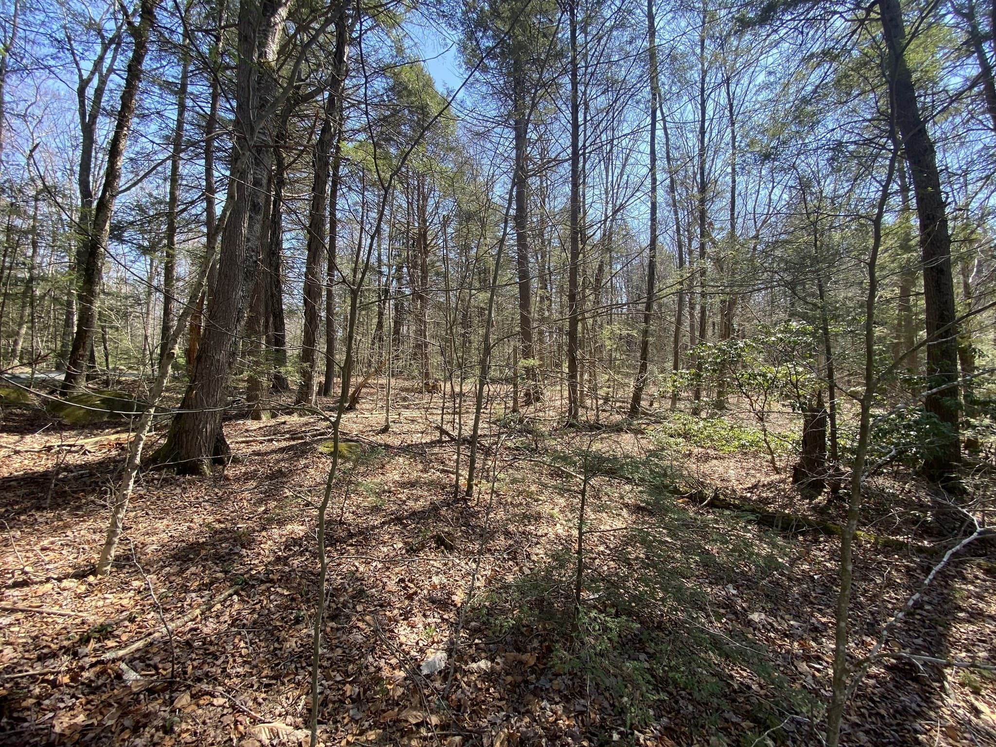 Residential at Lot 43 South Village Rd, Tolland MA 01034, photo 2 of 7