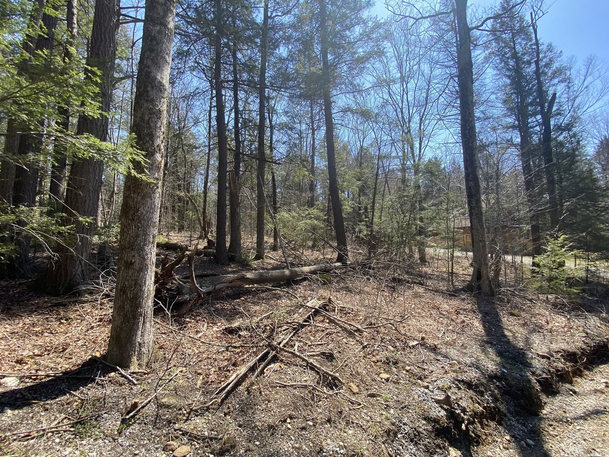 Residential at Lot 43 South Village Rd, Tolland MA 01034, photo 3 of 7