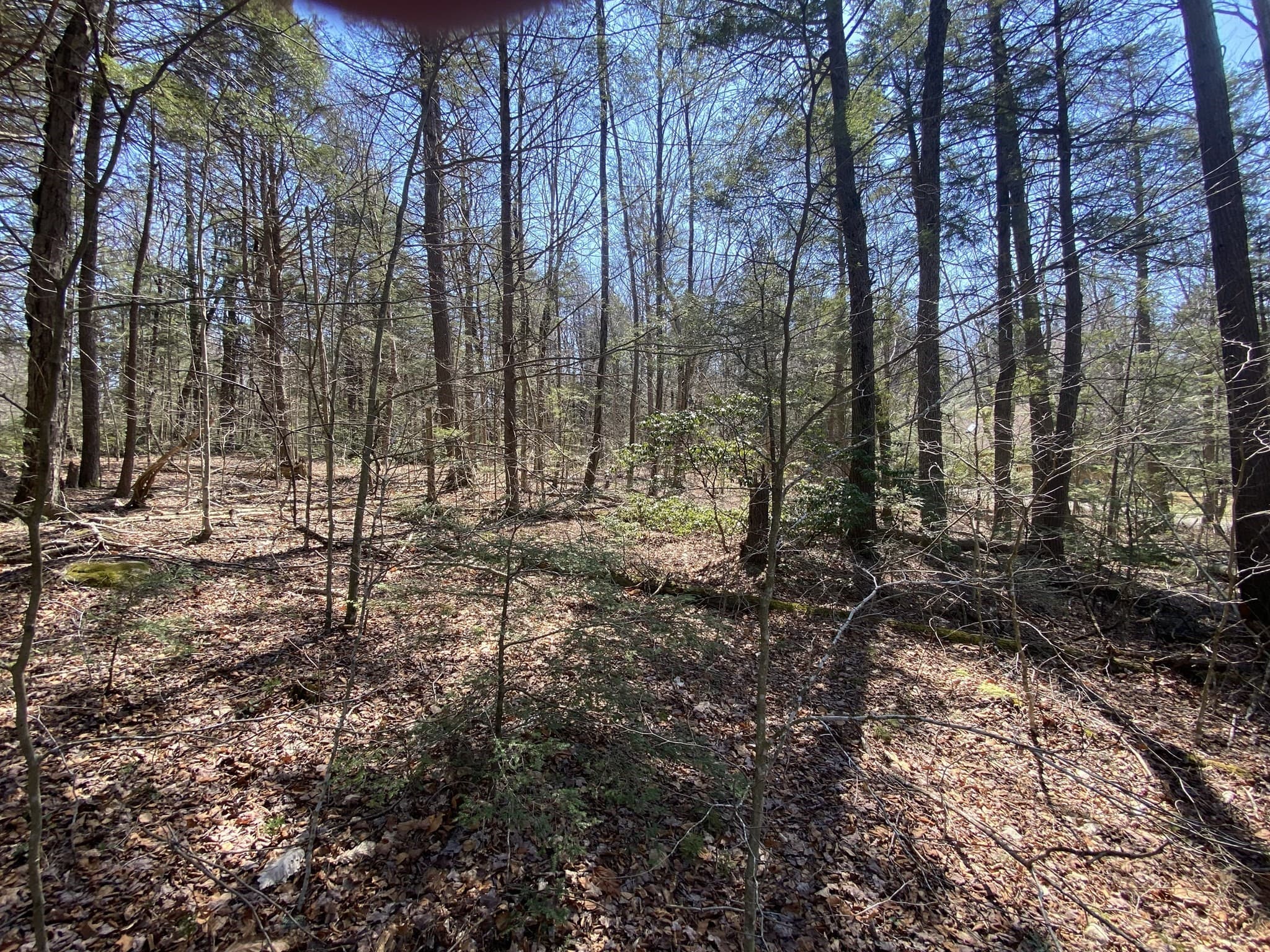 Lot 43 South Village Rd, Tolland MA 01034