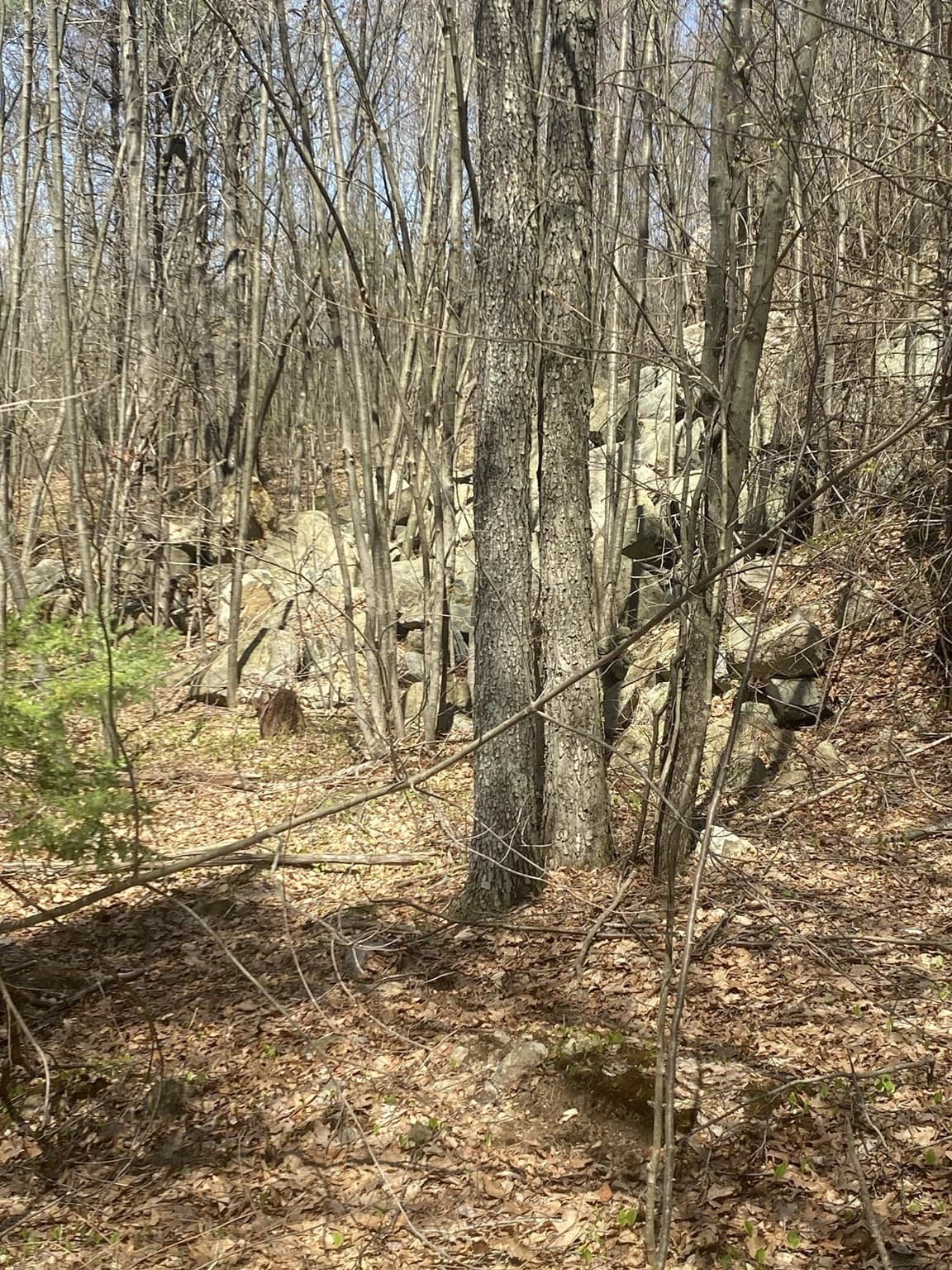 Residential at 117 Munsing Ridge, Granby MA 01033, photo 7 of 9