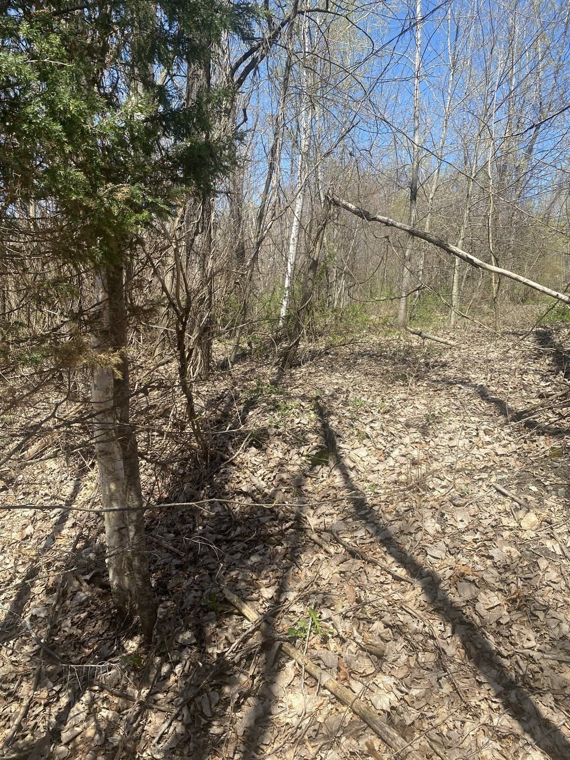 Residential at 117 Munsing Ridge, Granby MA 01033, photo 5 of 9