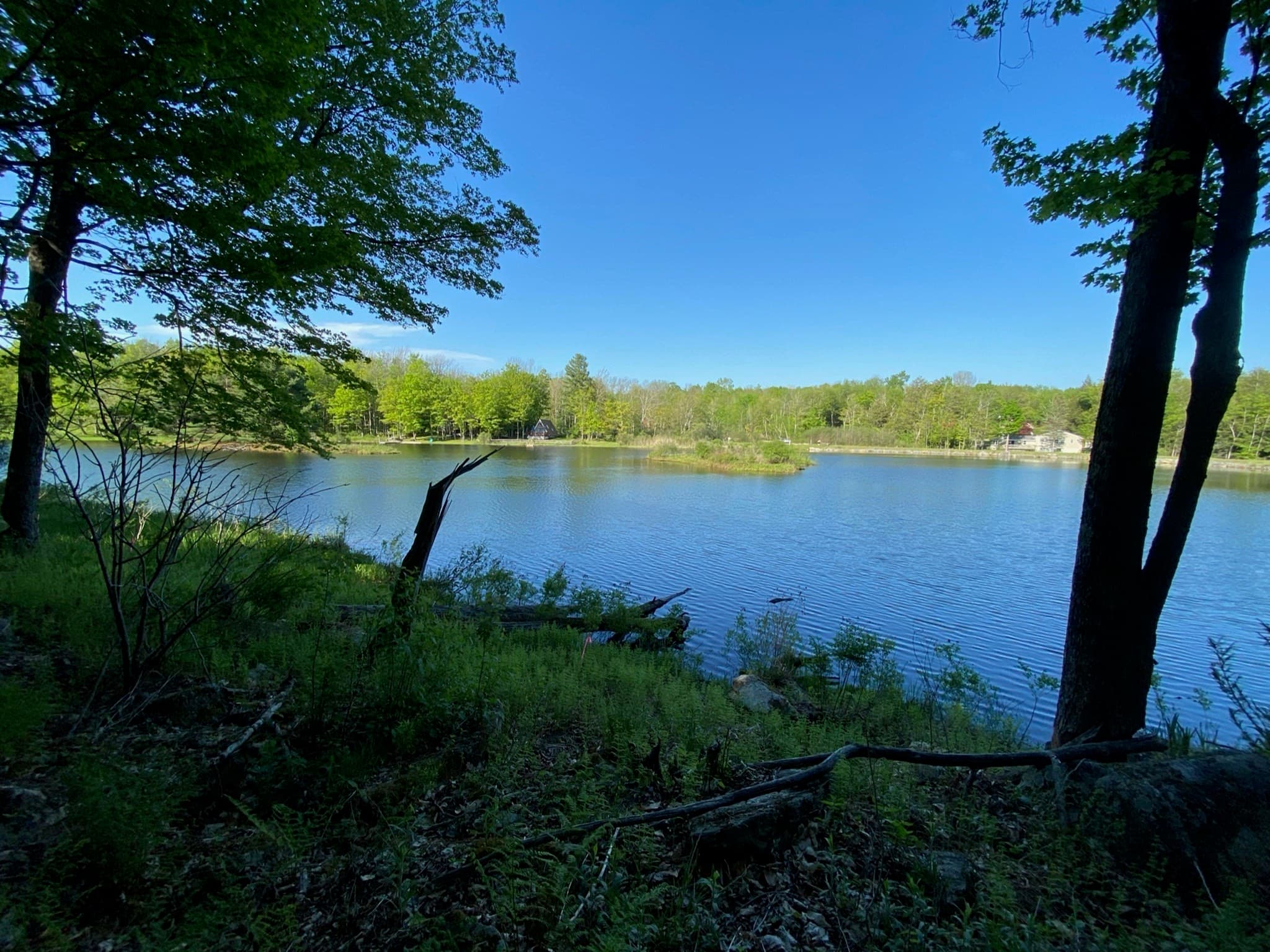 Residential at parcel 216 King Richard Dr, Becket MA 01223, photo 3 of 5