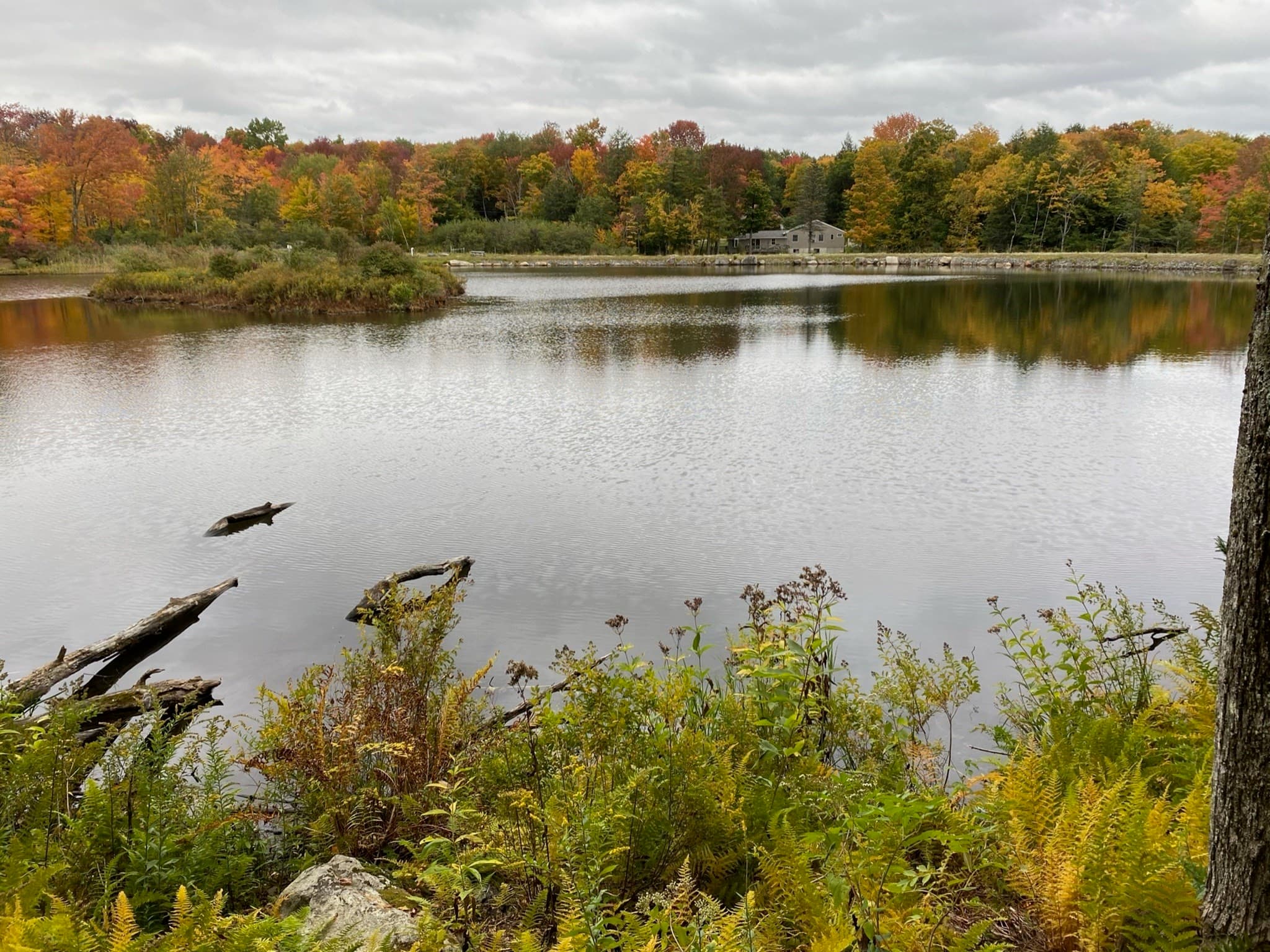 Residential at parcel 216 King Richard Dr, Becket MA 01223, photo 5 of 5